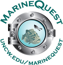 Wilmington summer camps