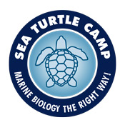 Wilmington summer camps Oasis